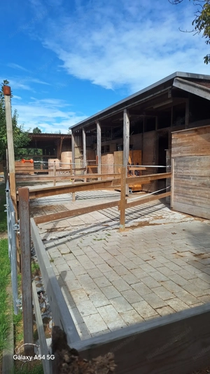 2 Paddock-Boxen in Selbstversorgerstall