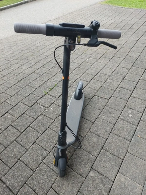 E-Scooter Kick Ninebot (gebraucht, gekauft 12 2024) Bild 5
