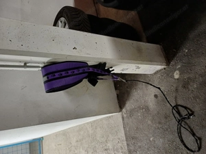 Supergünstige Hundeartikel