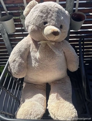 Teddybär   Bild 2
