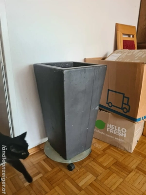 Große Vase zu Verschenken