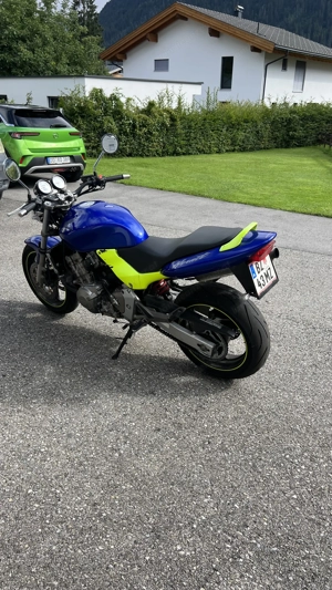 Honda Hornet 600 (PC36 1 1), Baujahr 2002 Bild 6