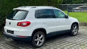 VW Tiguan Bild 3