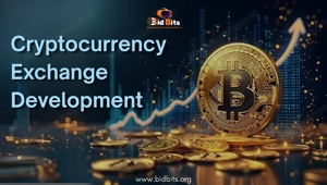 Top Cryptocurrency Exchange Development Services provider In USA