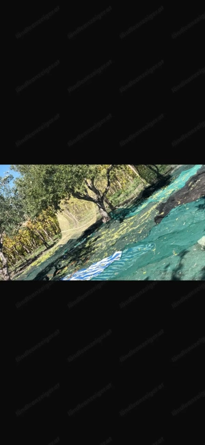 Olivenöl im 5-Liter-Kanister, 12 euro pro liter