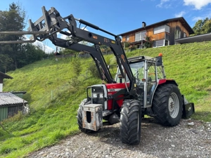 Traktor Massey Ferguson 365 mit Frontlader