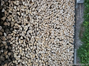 brenholz hart Bild 3