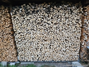 brenholz hart Bild 2