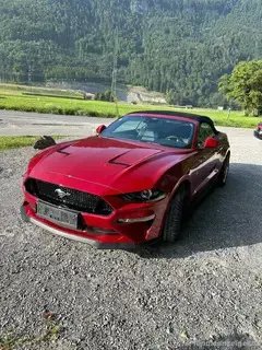 Ford Mustang V8 Bild 5