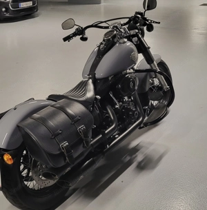 Harley Davidson Seitentaschen mit Schnellverschluss und Windschild