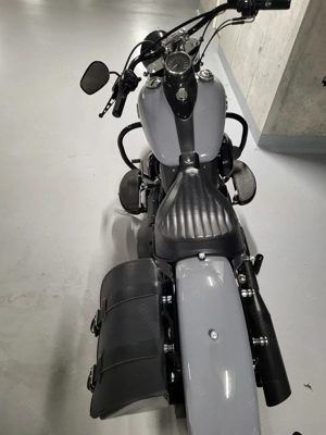 Harley Davidson Seitentaschen mit Schnellverschluss und Windschild Bild 3