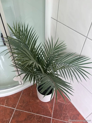 Dekorative Kunstpflanze inkl. Topf 