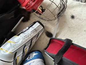 Eishockeyausrüstung Erwachsene  Bild 4