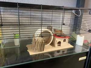 Hamsterkäfig mit Zubehör Bild 2