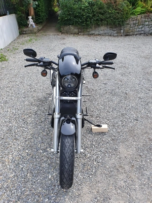 Harley Davidson Night-Rod Bild 2