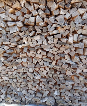 Hartholz   Weichholz  Bild 2