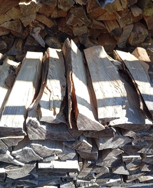 Hartholz   Weichholz 