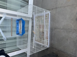 Vögel und Käfig z Bild 2