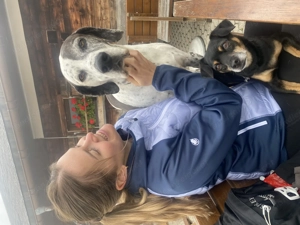 Tages- Urlaubsbetreuung für Hunde