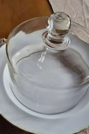 Glasglocke   Abdeckhaube   18,- Bild 2