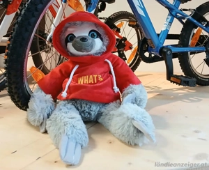 Fahrräder & E-Bikes   Neu und Gebraucht bei BikerShop Weiler Bild 5