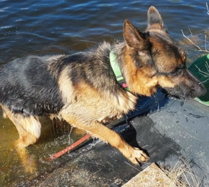 Chamelot - NOTFALL Österreich Bild 5