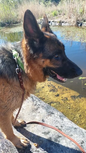 Chamelot - NOTFALL Österreich Bild 6