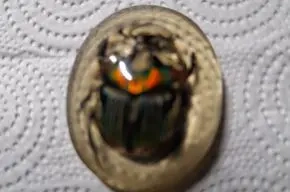 Käfer in Kunstglas gefasst einzelstück Bild 3