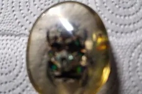 Käfer in Kunstglas gefasst einzelstück Bild 2