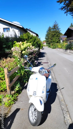 Vespa Primavera 50 4Takt