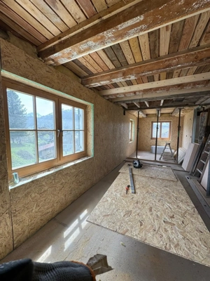 Altbausanierung, Verputzarbeiten, Malerarbeiten, Abbrucharbeiten,... Bild 8