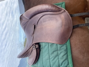 Signum Omega Lotus Sattel  Bild 2