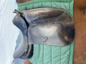 La Belle Sattel  Bild 3