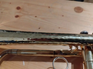 Brassego by Haagston Performer Singing Bell Trompete Bild 3