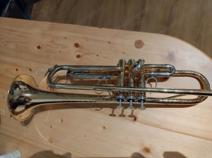 Brassego by Haagston Performer Singing Bell Trompete Bild 2