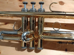 Brassego by Haagston Performer Singing Bell Trompete Bild 8