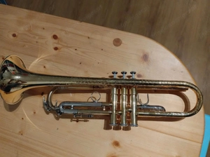 Brassego by Haagston Performer Singing Bell Trompete Bild 10