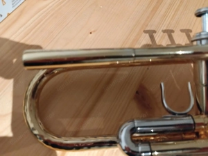 Brassego by Haagston Performer Singing Bell Trompete Bild 5