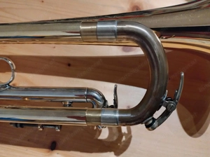 Brassego by Haagston Performer Singing Bell Trompete Bild 6