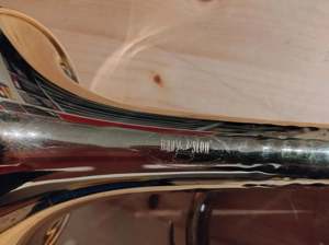 Brassego by Haagston Performer Singing Bell Trompete Bild 7