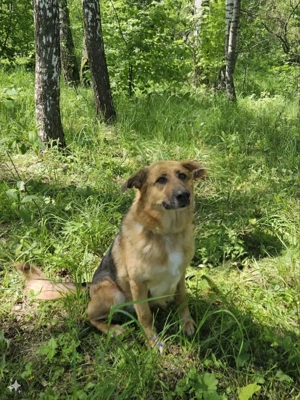Zauberhafte Nadia sucht ihre menschen  Bild 3
