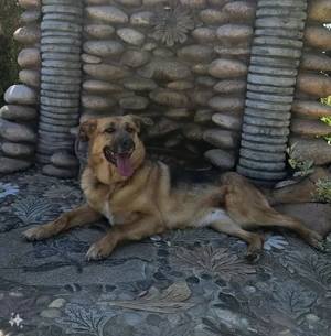 Zauberhafte Nadia sucht ihre menschen  Bild 2