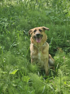 Zauberhafte Nadia sucht ihre menschen  Bild 4
