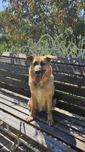 Zauberhafte Nadia sucht ihre menschen  Bild 5