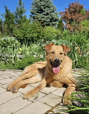 Nikolasha sucht Körbchen ... Bild 3