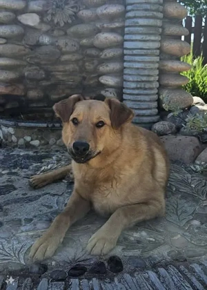 Nikolasha sucht Körbchen ...