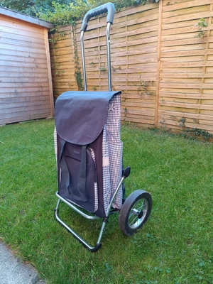 Einkaufstrolley 