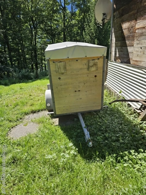 Hänger für Schafe oder Ziegen Bild 3