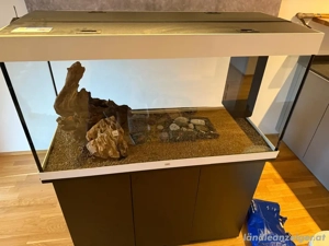 Aquarium mit Futterautomat und Deko Bild 2