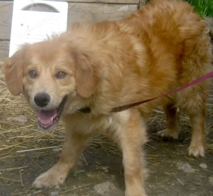 Rory möchte Teil IHRER Familie werden - NOTFALL Bild 5